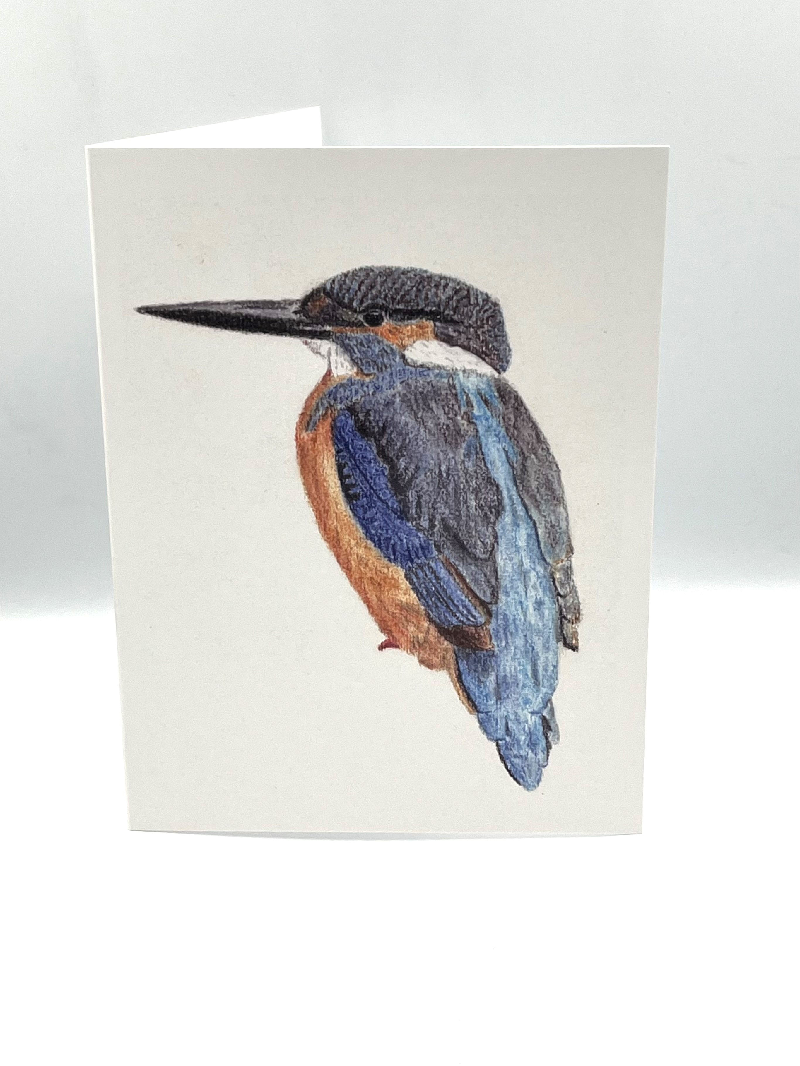 Wenskaart IJsvogel