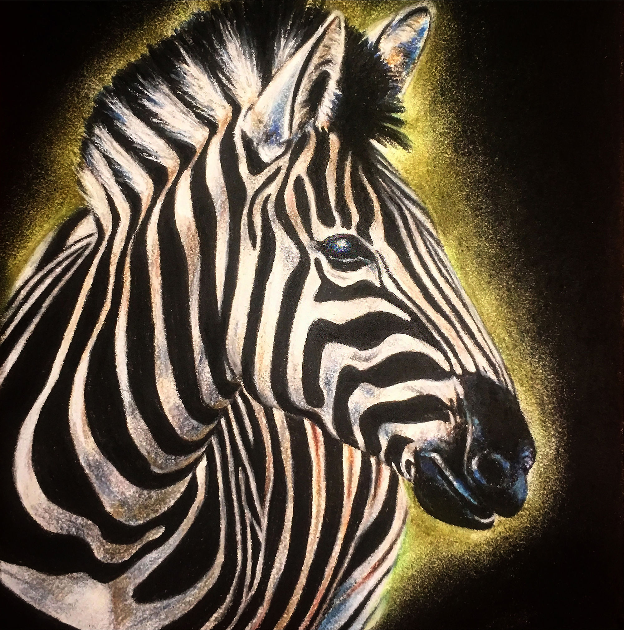 Zebra drawing