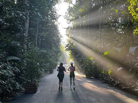 Singapore Green Spaces Make it Easy to Forest Bathe for Mental Health