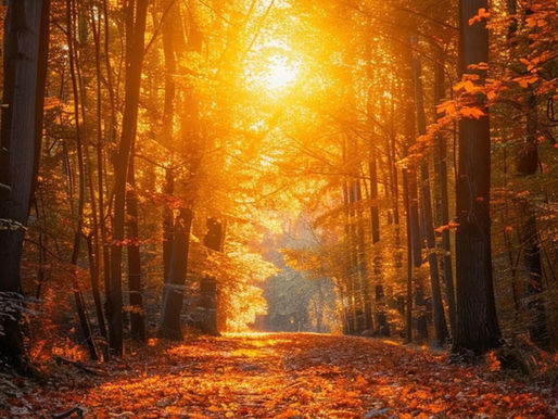 Seasons Under Heaven