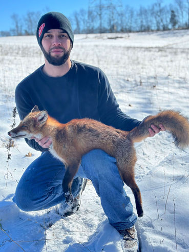 Fox Hunting