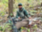 Deer Hunt