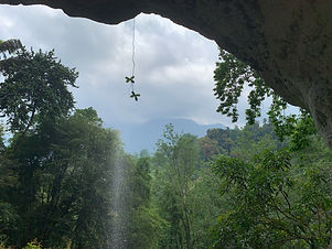 image4.jpeg
