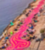 Magenta Line Collab