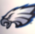 Eagles Fan