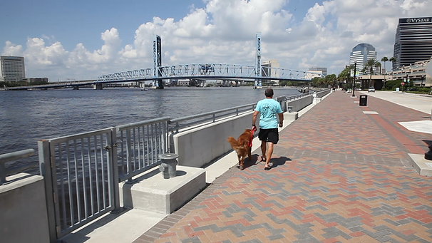 The Adventures of Penelope Anne, Jacksonville, Florida, City, Dog, Golden Retriever