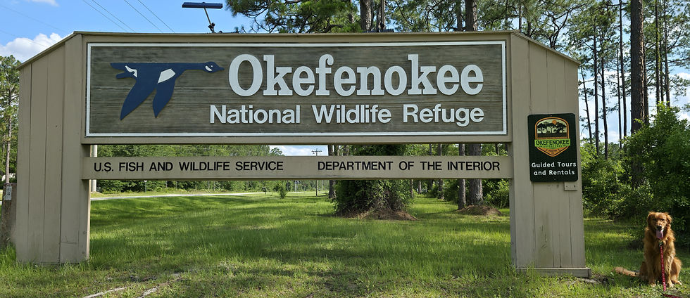Folkston, GA