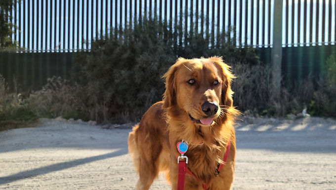 San Diego