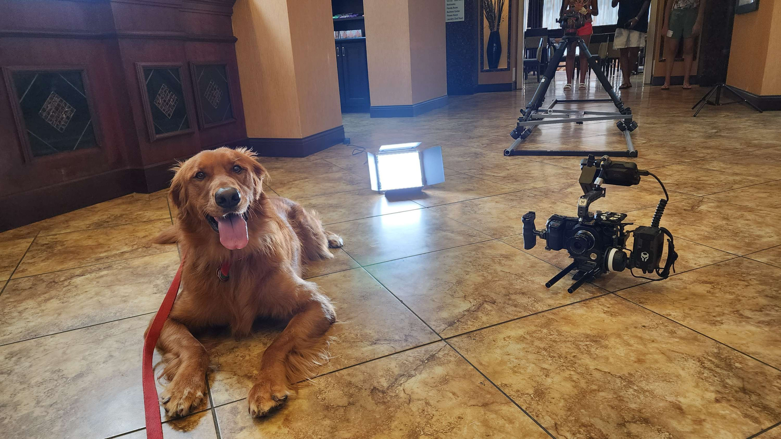 filmography-the-adventures-of-penelope-anne