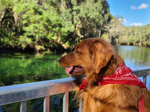 Blue Spring State Park, Orange City, FL