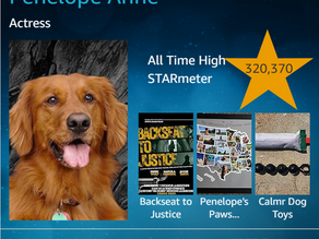 Updates to my IMDb profile.