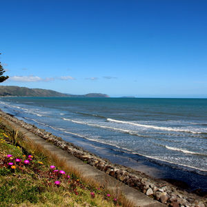 surf beach