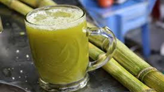 Sugar Cane