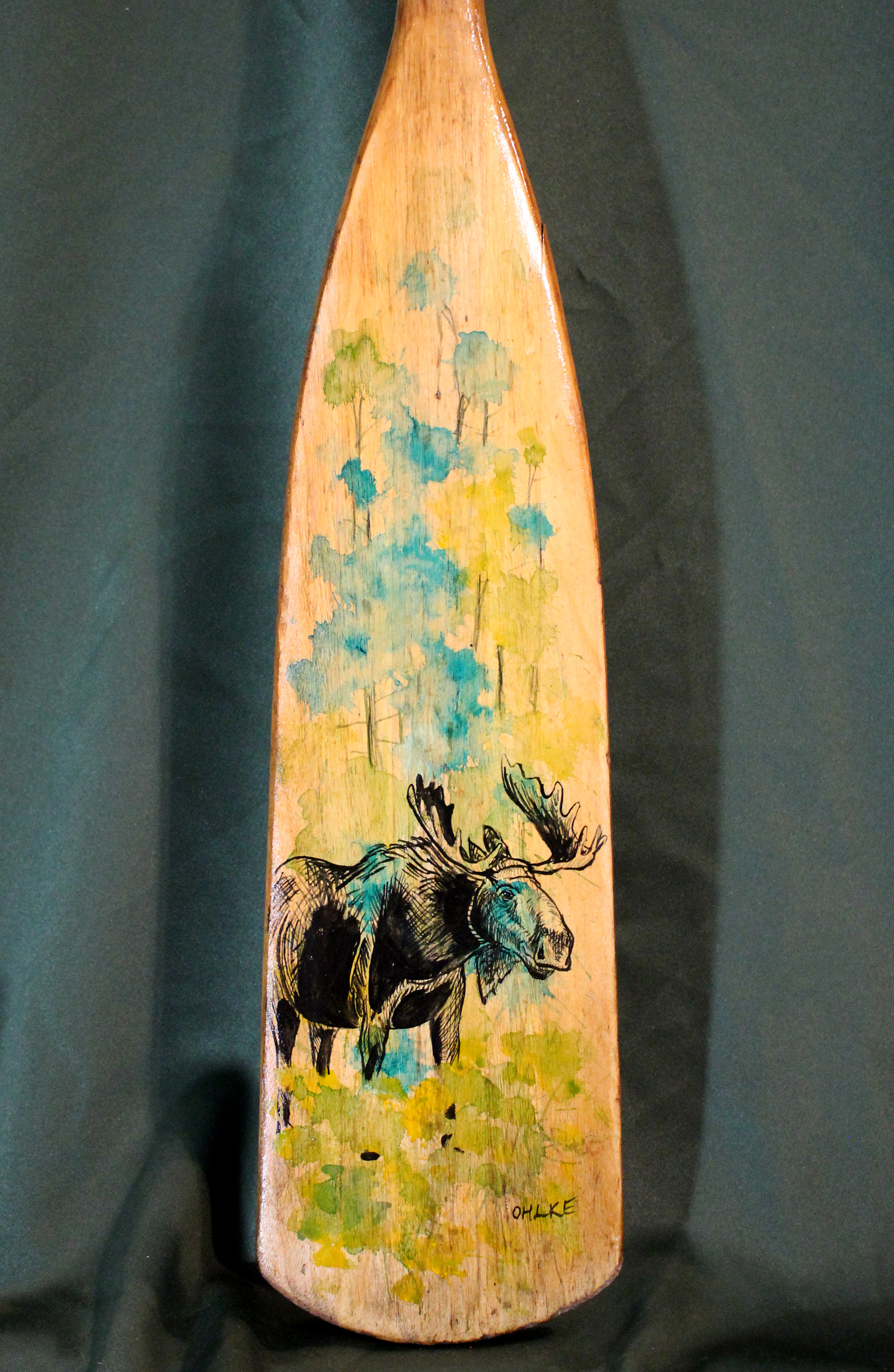 Moose in the Forest