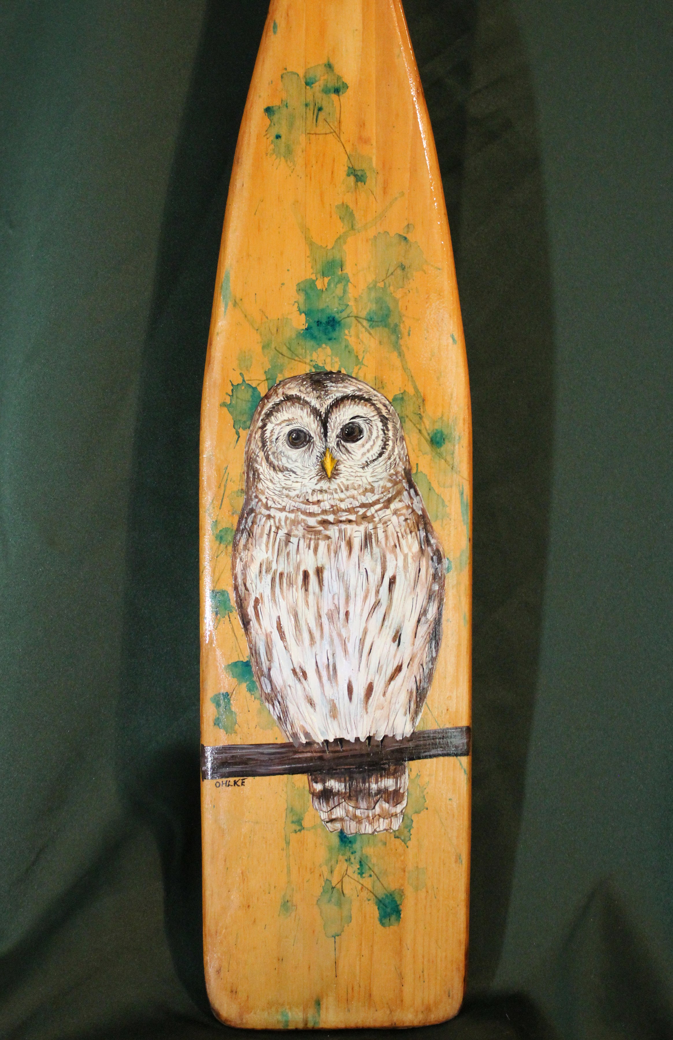 Barred Owl