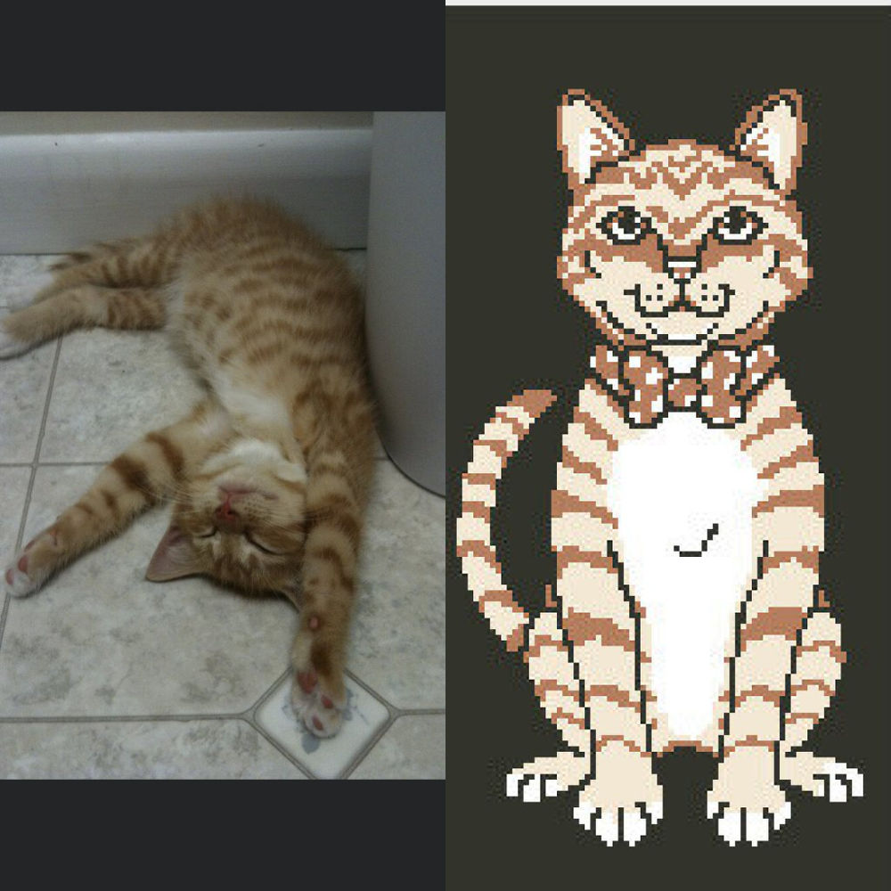 Cartoonize your pet!