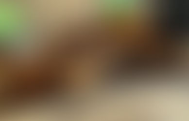 Fine Arts & Crafts in Wisconsin: