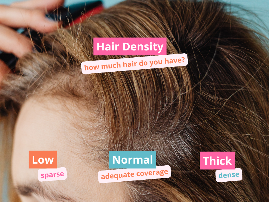 Hair density, how much hair do you have? Low: sparse Normal: adequate coverage Thick: dense