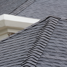asphalt shingle roof