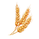 wheat-protein.png