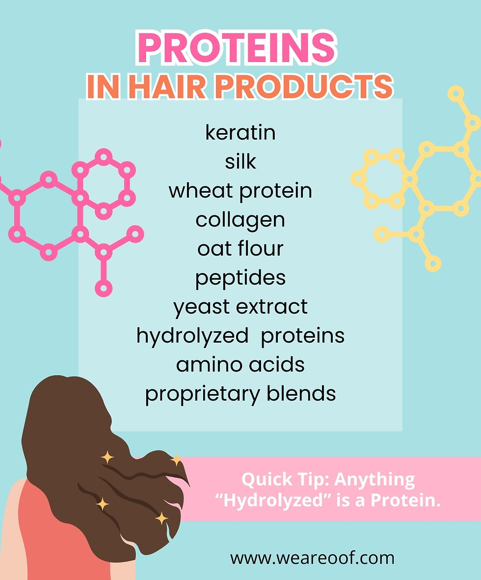 infographic about proteins in hair products