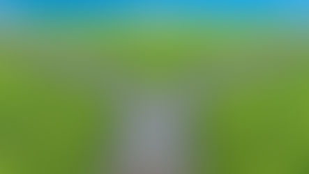 Quisá sí, quisá no