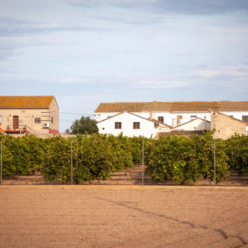 Rehabilitación Y adecuación de ALQUERÍA EN LA HUERTA VALENCIANA