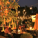 Screenshot 2024-04-20 at 1.29.51 PM.png