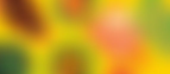 Le Repas des régions de BVH : 11 avril 2026