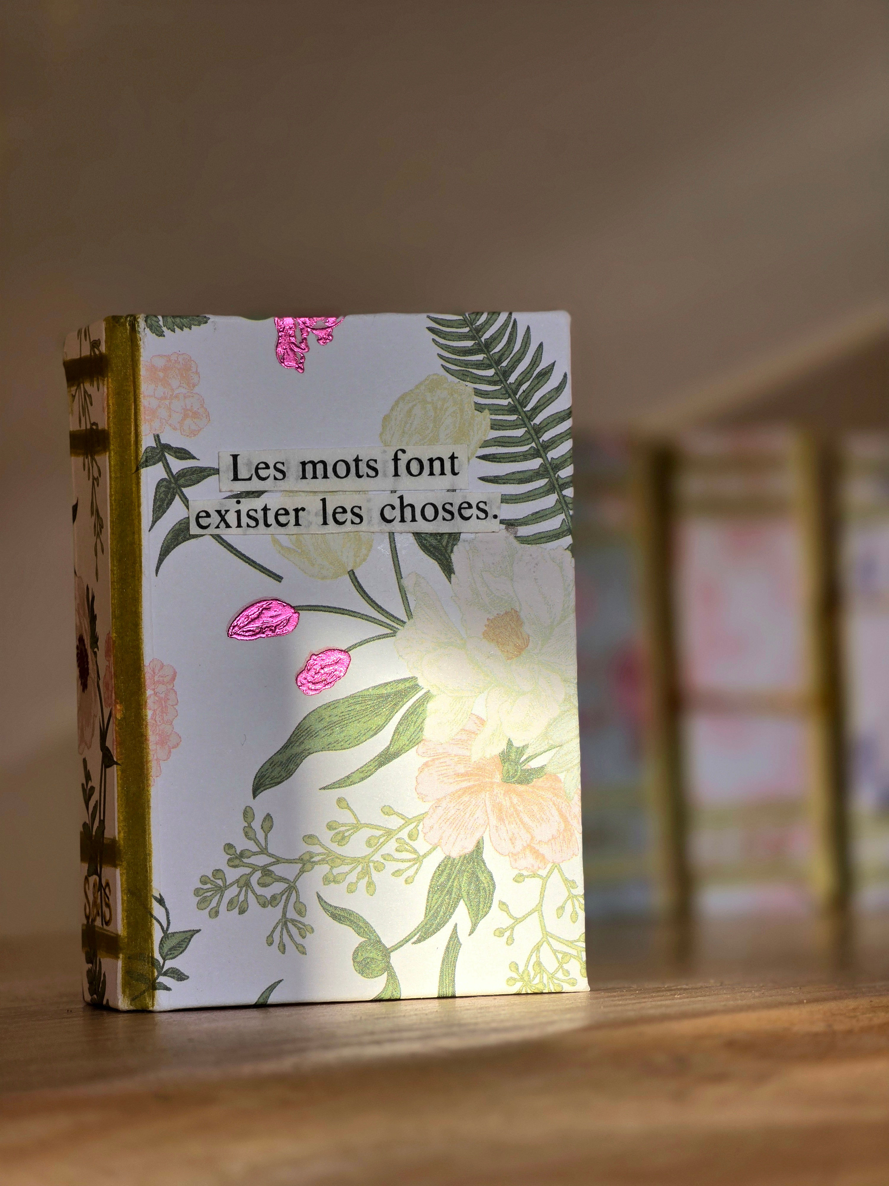 Mini livre " les mots font exister les choses"