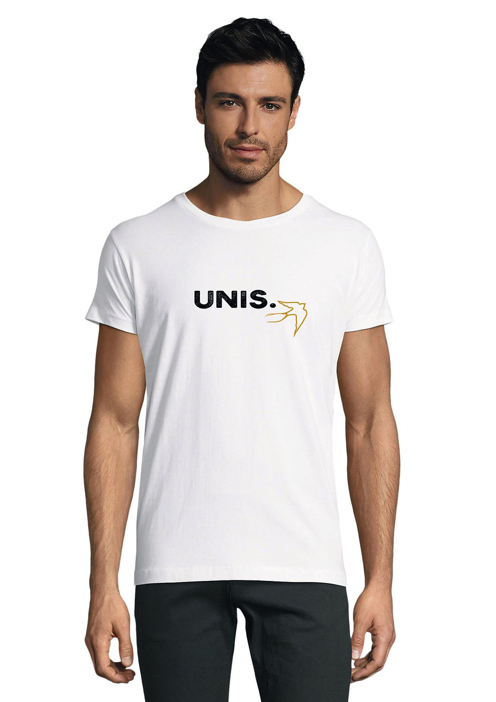 L'hirondelle T-shirt Homme