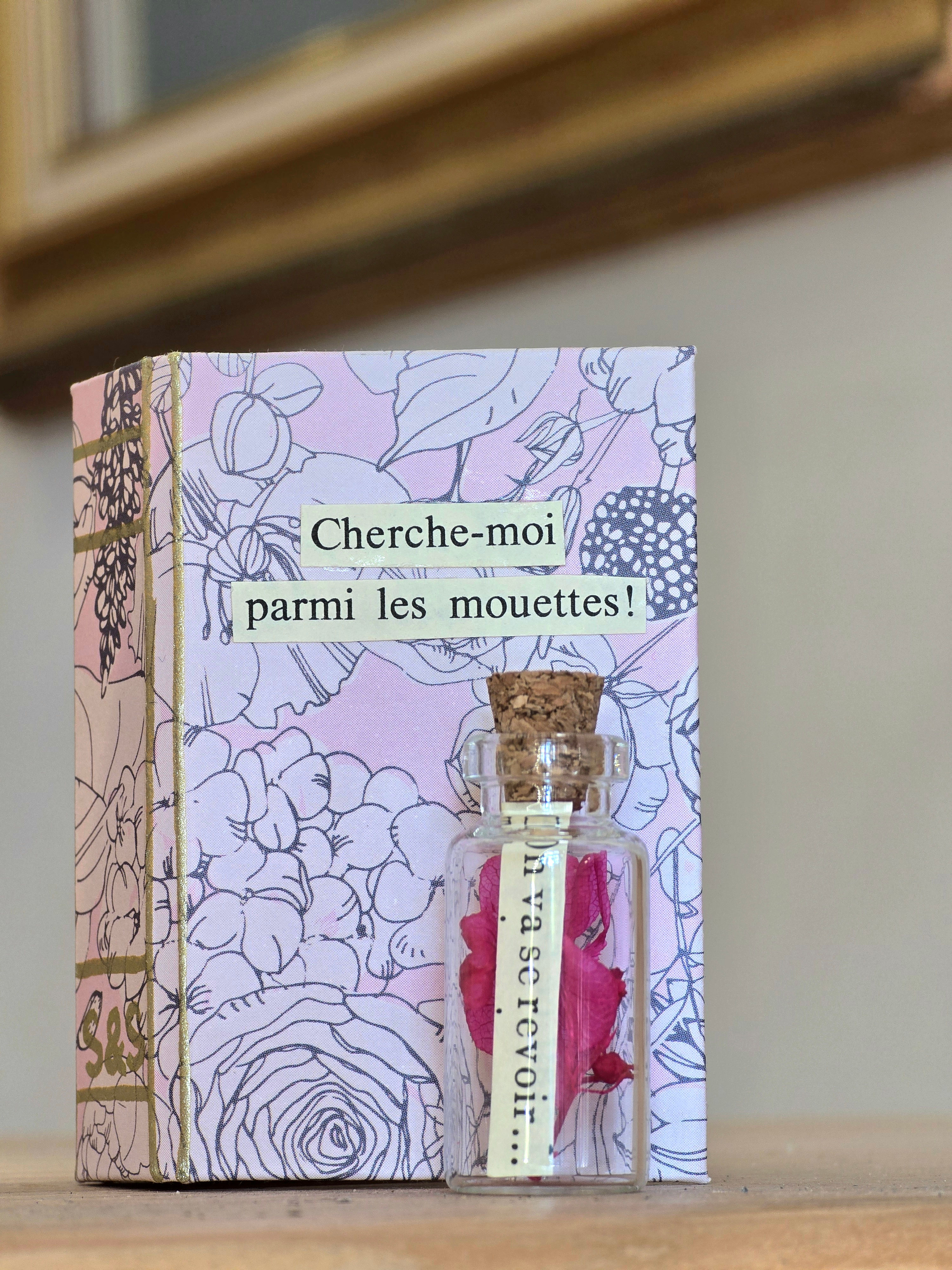 Mini livre " Cherche moi parmi les mouettes"