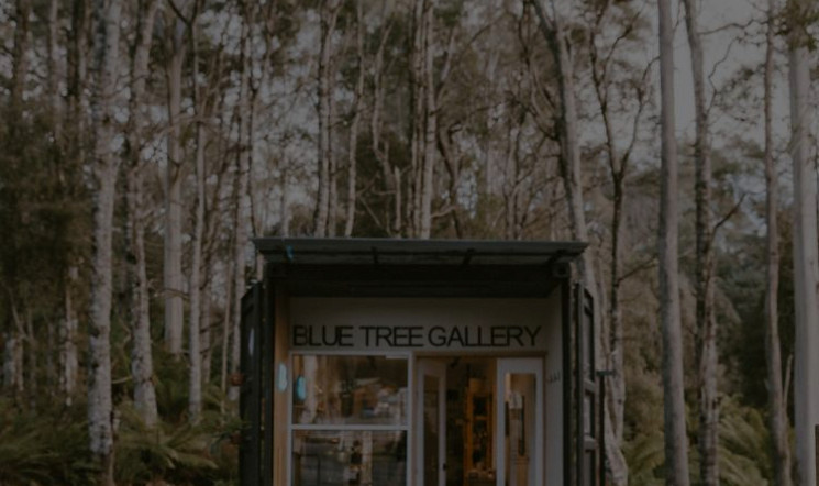 Blue Tree Gallery Entrance. The front of a black shipping container with the doors open, surrounded by trees