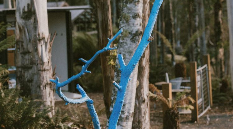 Tree trunk painted bright blue in a forest scene overlooking Blue Tree Gallery