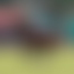 SPORTS: Polo - Prudential vs Aston Martin Vantage