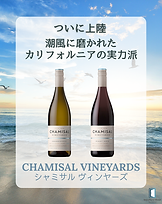 【新発売】ついに上陸！カリフォルニア州シャミサルヴィンヤーズ