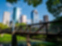 park image