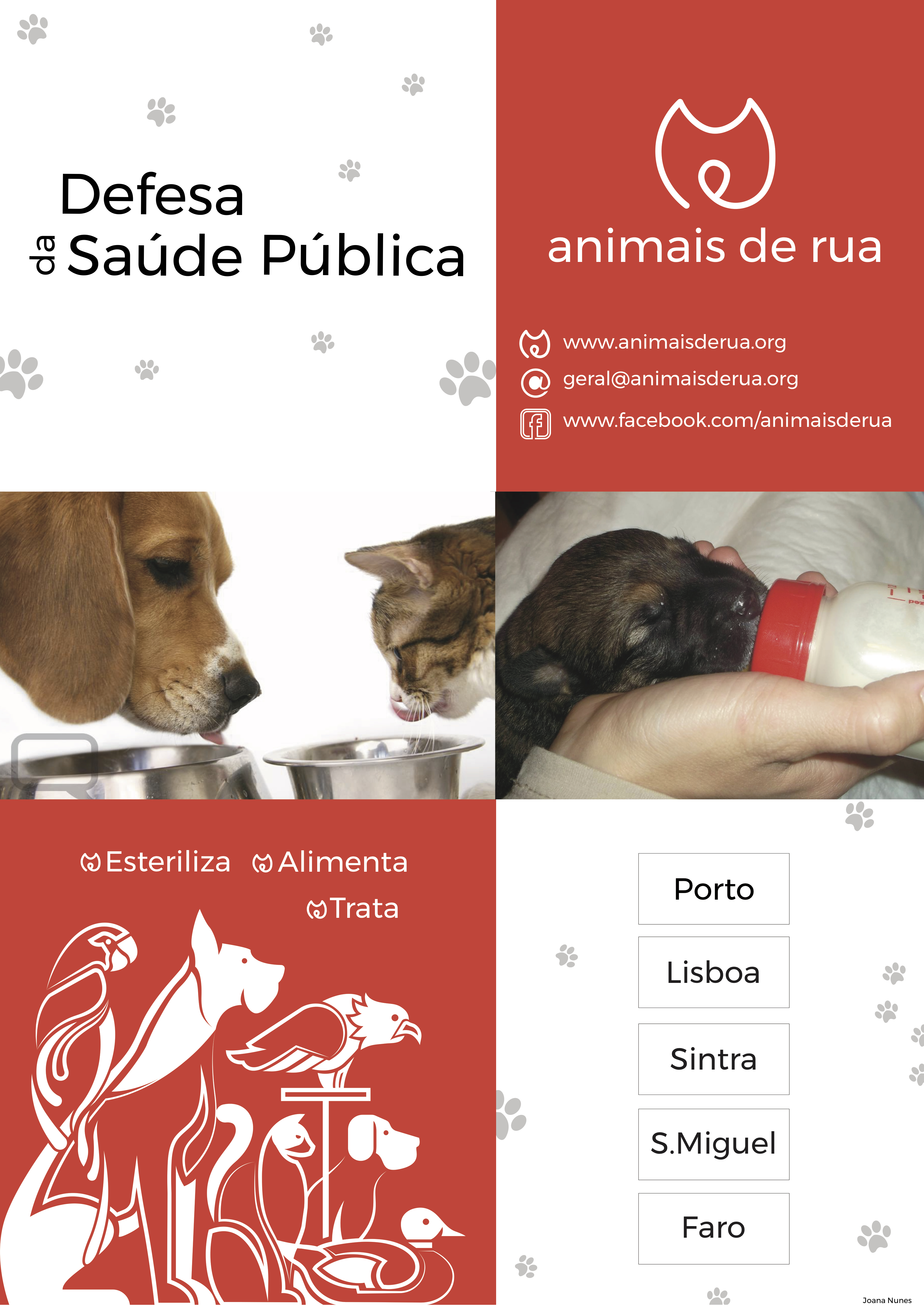 Cartaz Instituição Animais de Rua