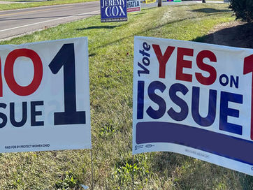 Restrictions on Political Signs in Newport Beach