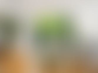 Bright living room with wooden floor, cozy chairs, and green plants. Glass doors open to a lush garden. Warm, inviting atmosphere. Property Staging in Newcastle