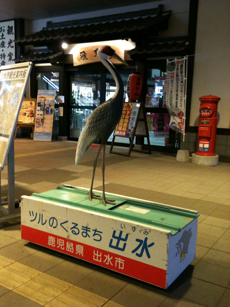 九州を自転車で回る旅の熊本編 出水市は鶴がきます
