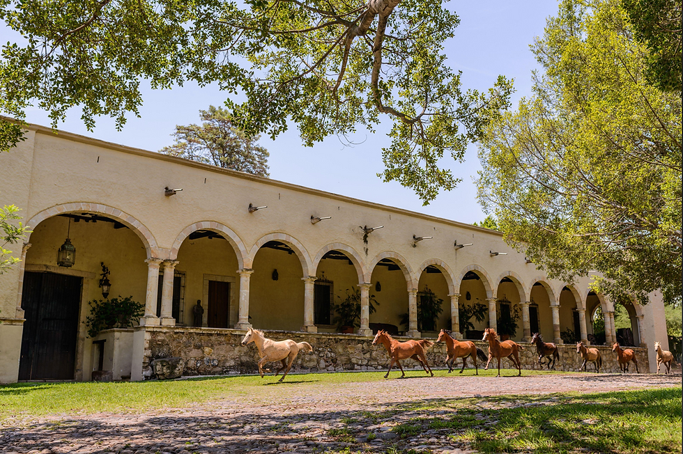 The Bakers Rancho