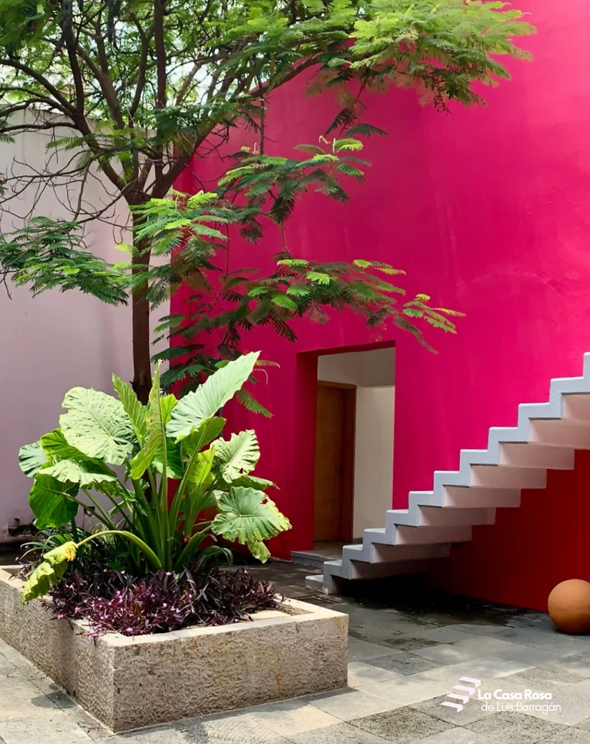 Captura de pantalla 2026-02-18 a la(s) 7.38.42 p.m..png