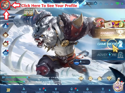 Profile Screenshot.png