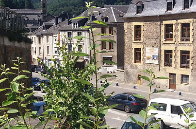 Golden Lion, Bouillon