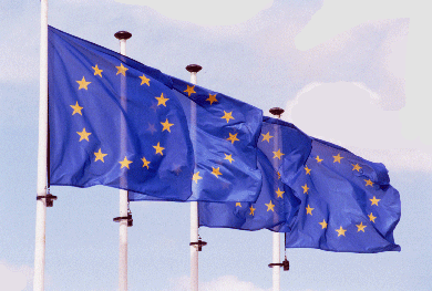 image_invitation_2013_1.gif