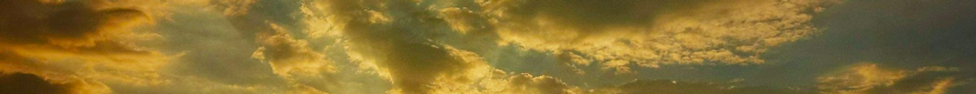 GMP-inside banner.png
