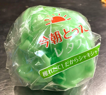 食品サンプルレタス保存方法