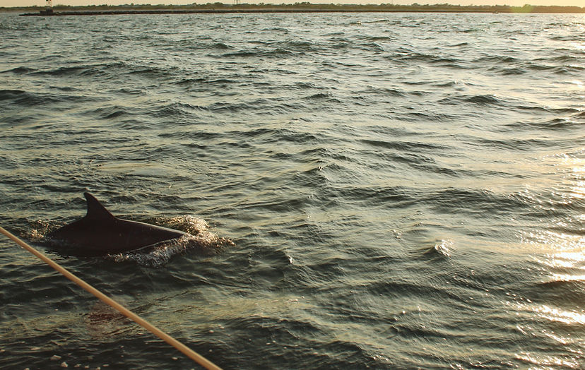 LBI Activity & event planning