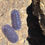 Thumbnail: Cubaris sp. Giant Marina 